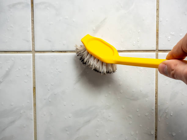 Best Same-Day Mold Removal  in Ridgeland, MS